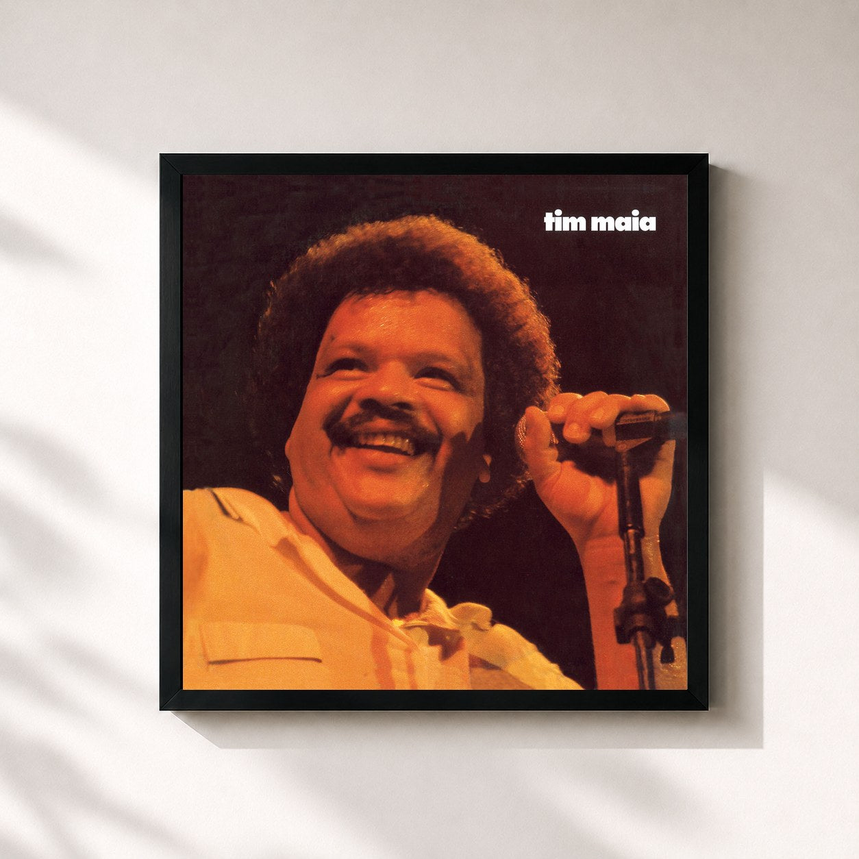 Tim Maia · Tim Maia 1980