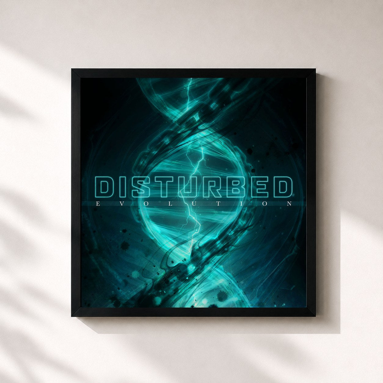 Disturbed · Evolution
