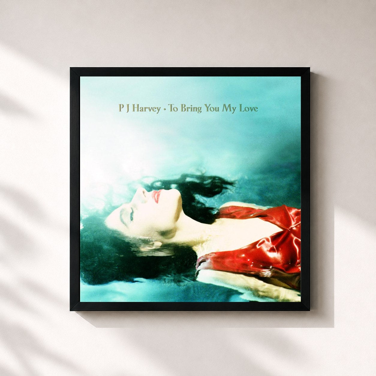 PJ Harvey · To Bring You My Love