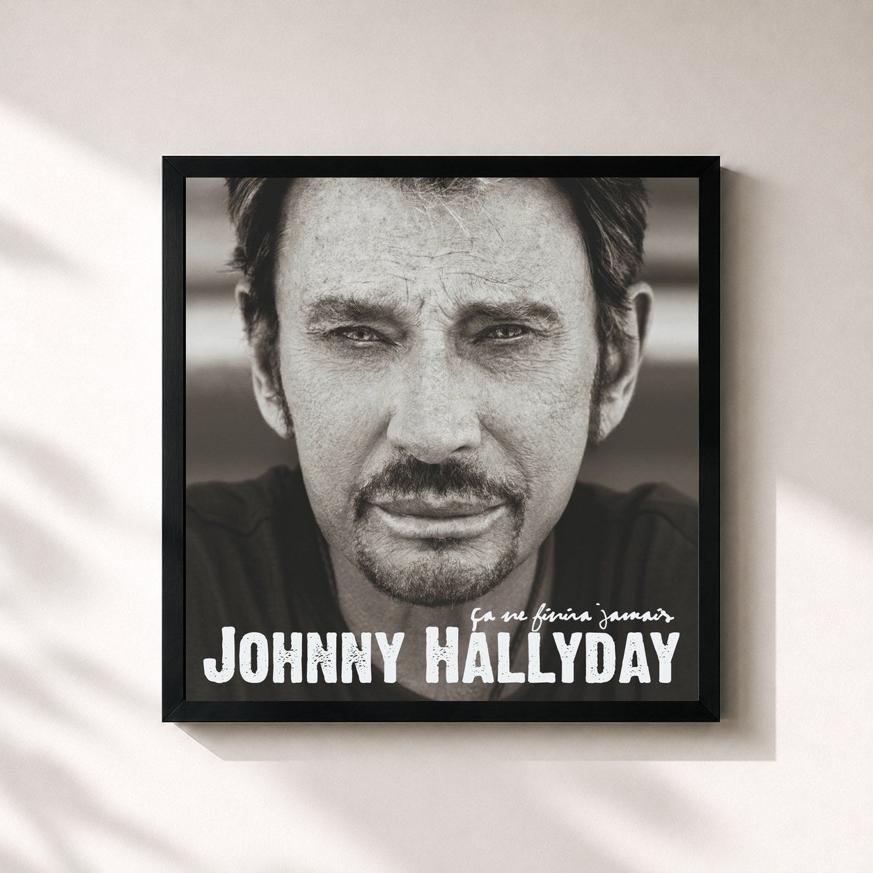 Johnny Hallyday · Ça n'finira jamais