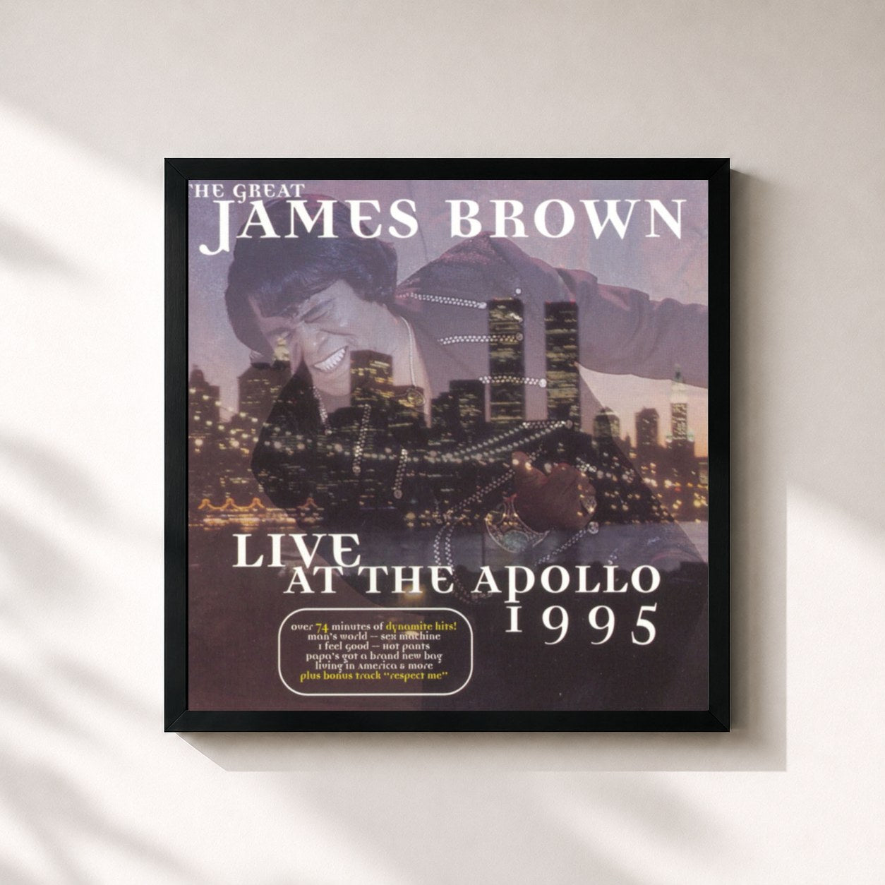 James Brown · The Great James Brown - Live At The Apollo 1995