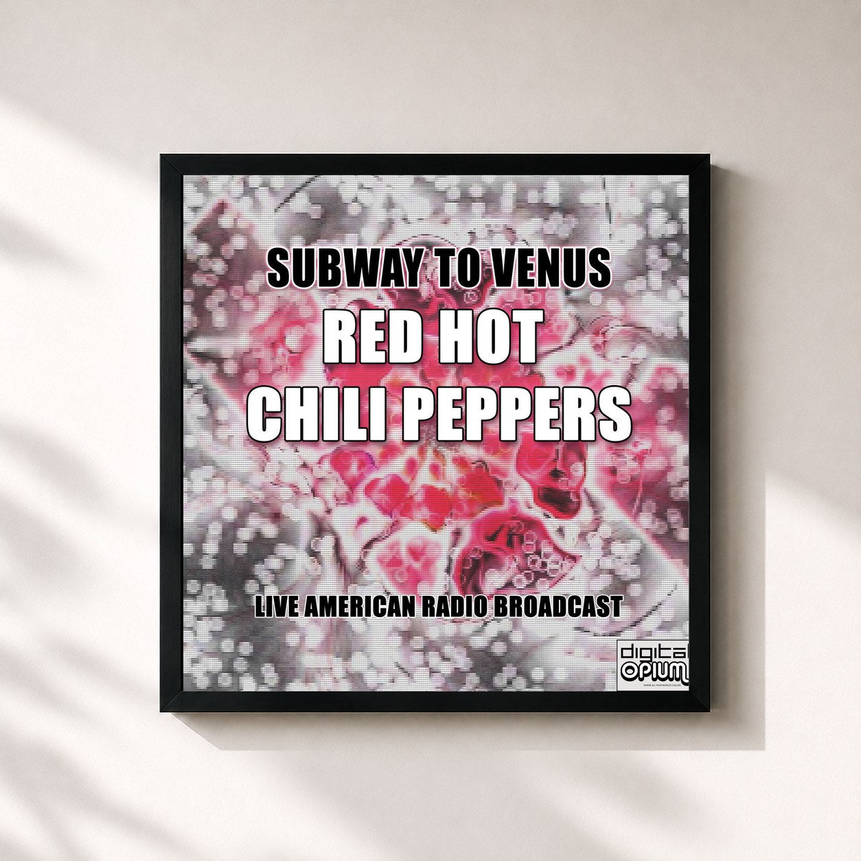 Red Hot Chili Peppers · Subway to Venus (Live)