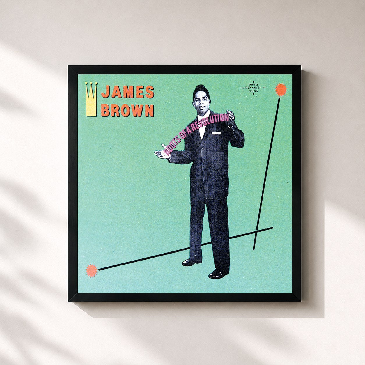 James Brown · Roots Of A Revolution
