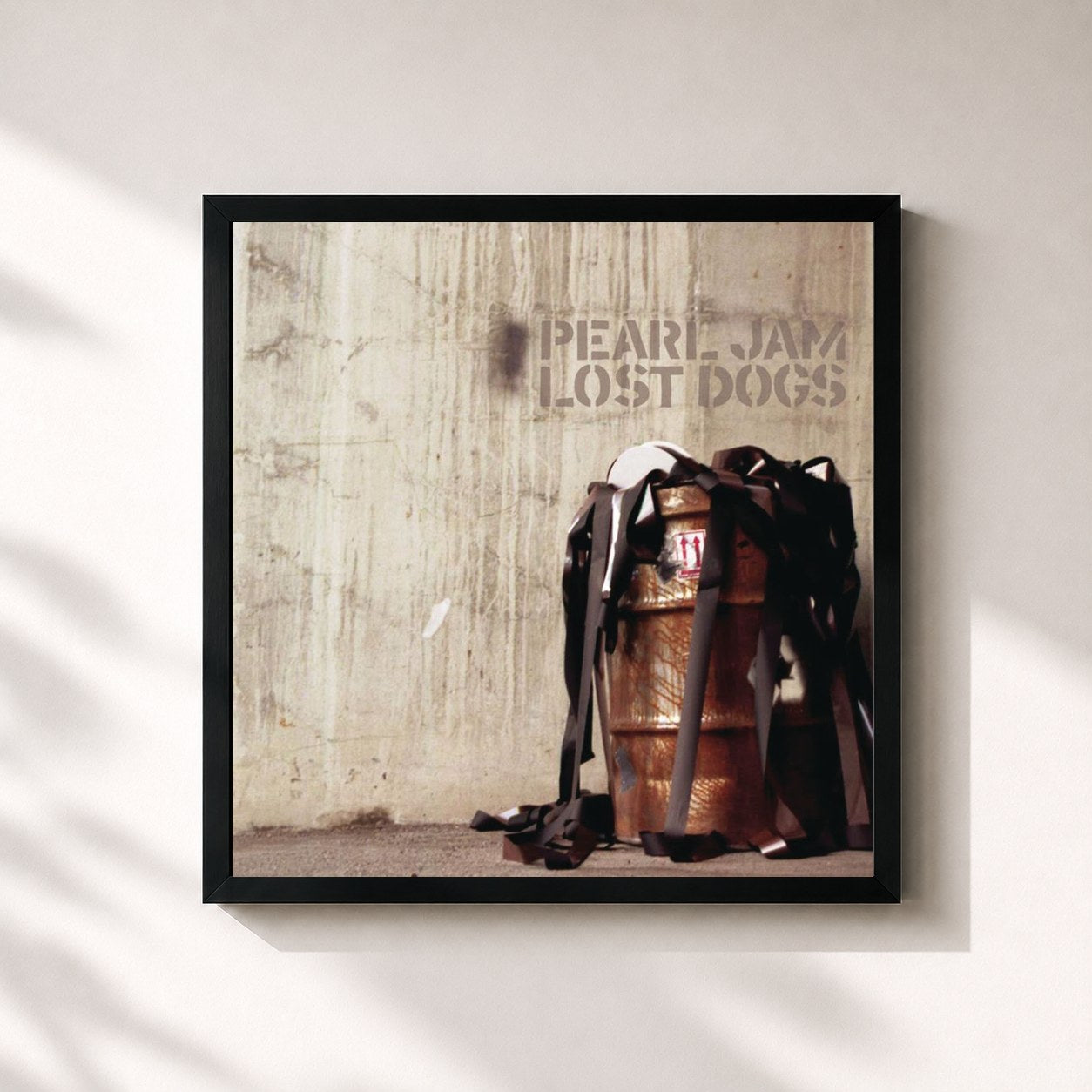 Pearl Jam · Lost Dogs