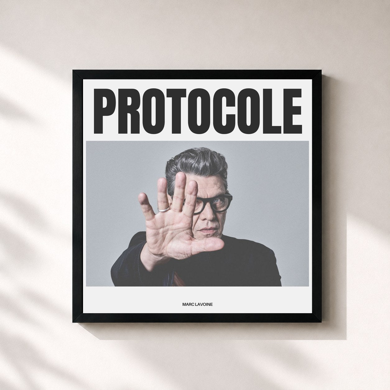 Marc Lavoine · Protocole
