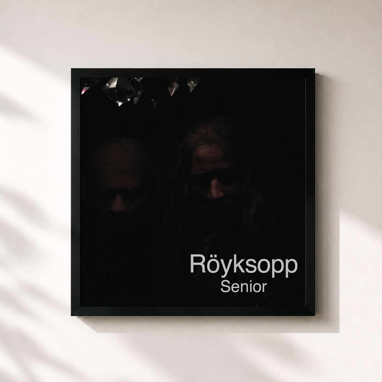 Röyksopp · Senior
