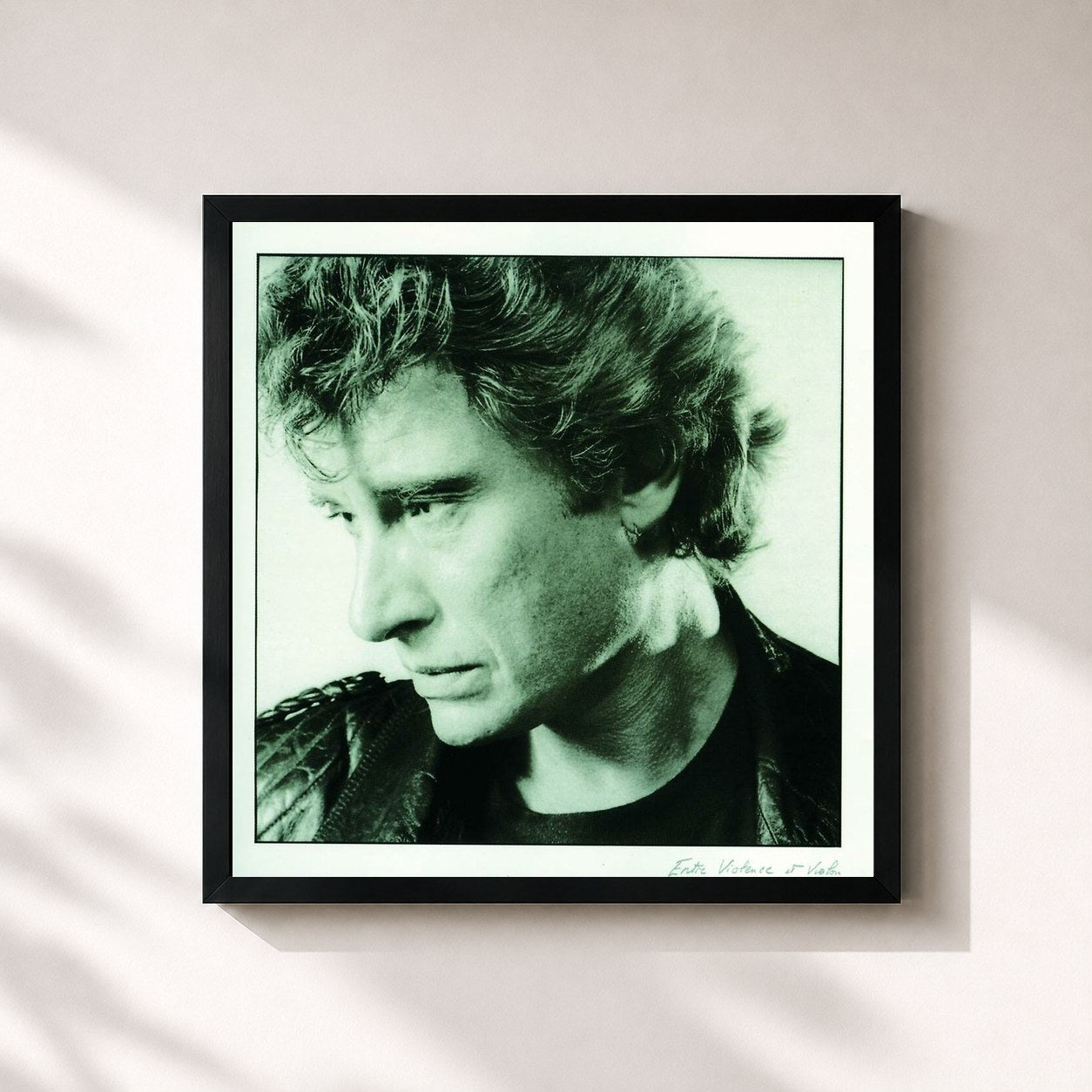 Johnny Hallyday · Entre violence et violon