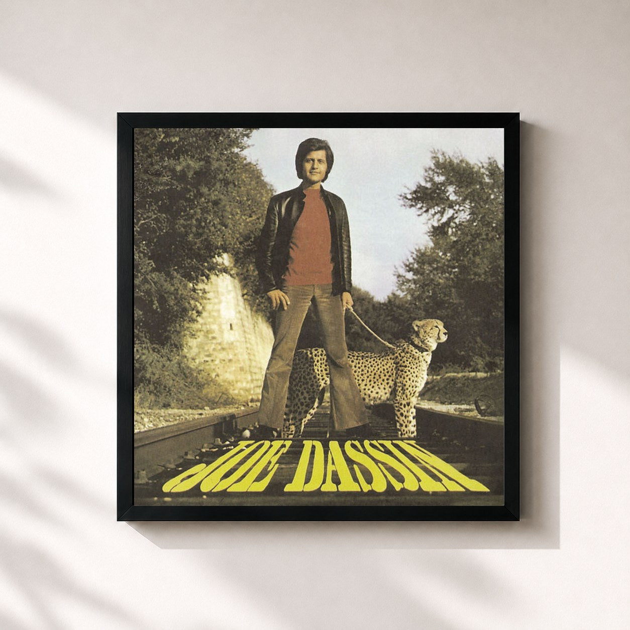 Joe Dassin · La Fleur Aux Dents