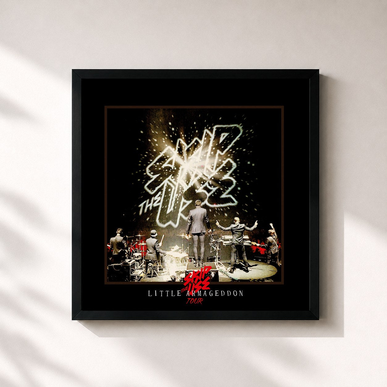 Skip the Use · Little Armageddon Tour (Live)