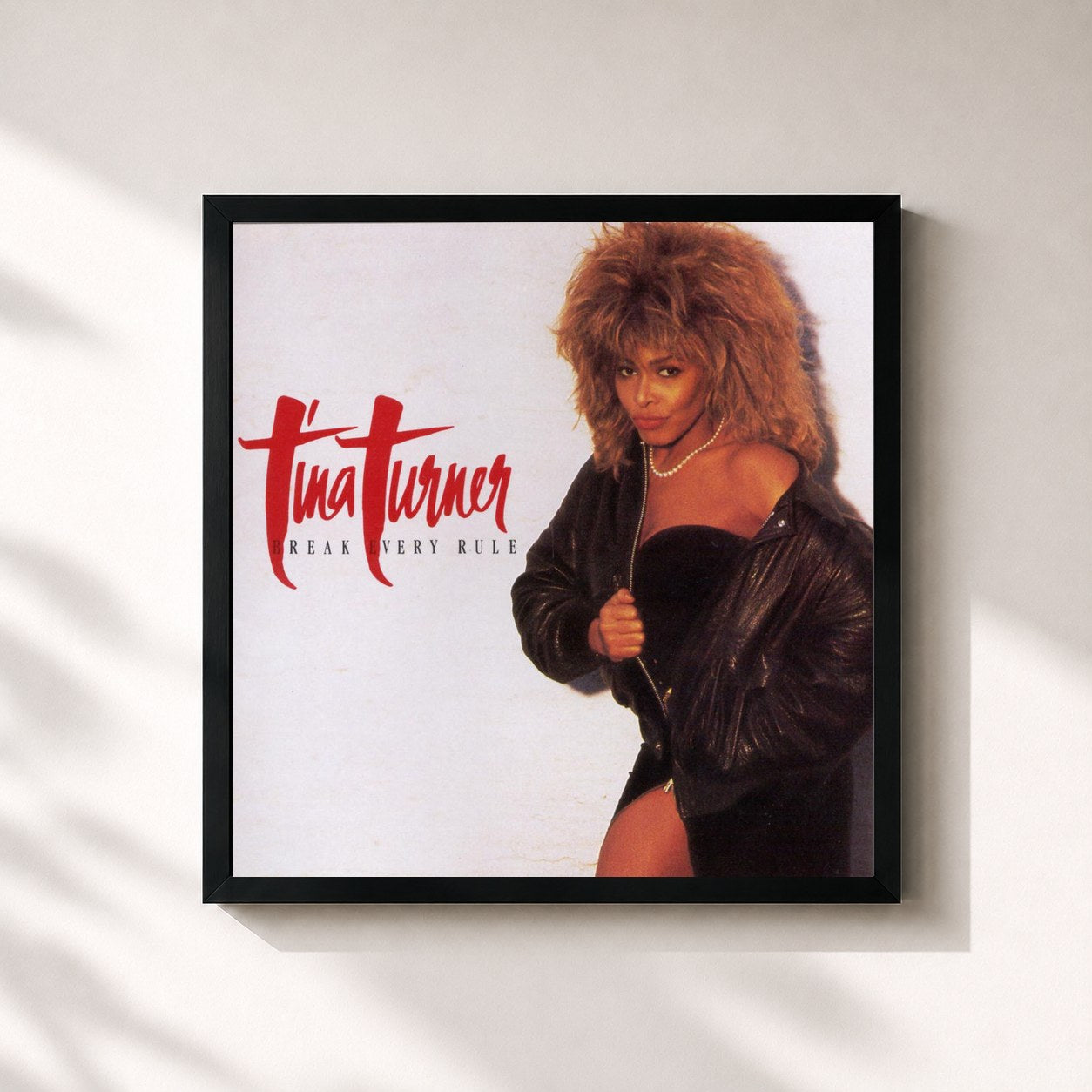 Tina Turner · Break Every Rule