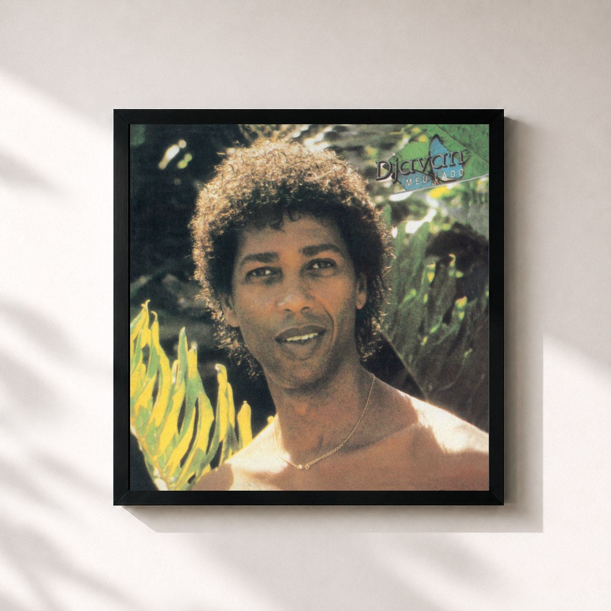 Djavan · Meu Lado