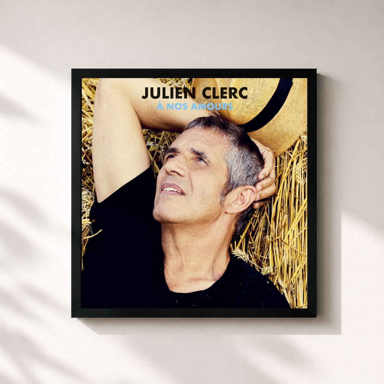 Julien Clerc · À nos amours (Édition 2018)