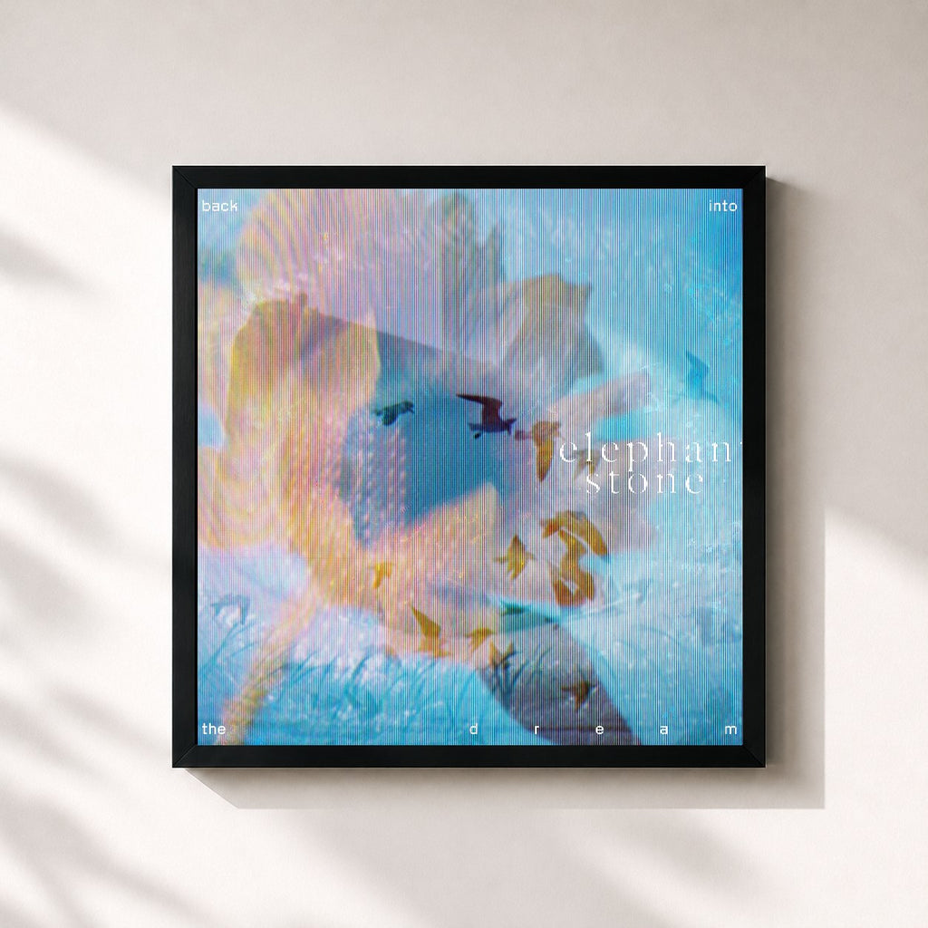 Elephant Stone · Back Into The Dream