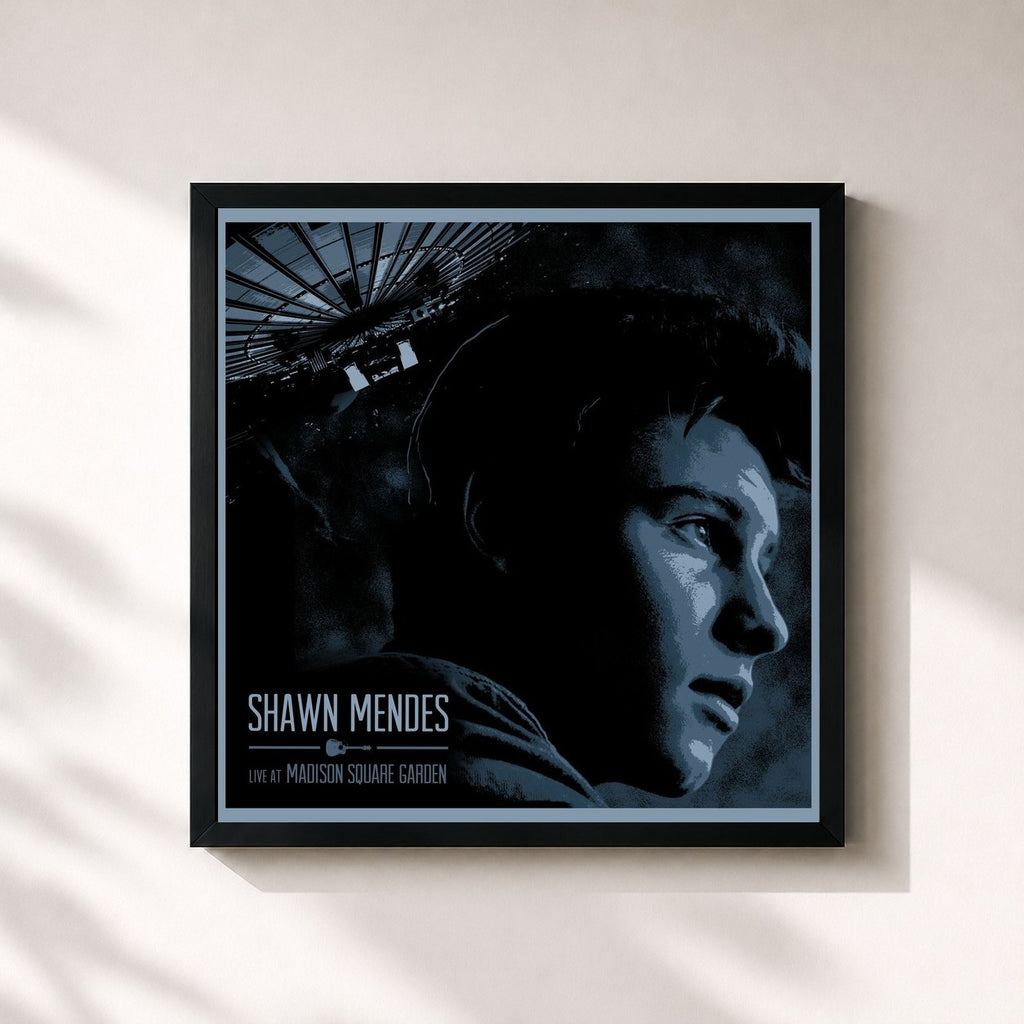 Shawn Mendes · Live At Madison Square Garden