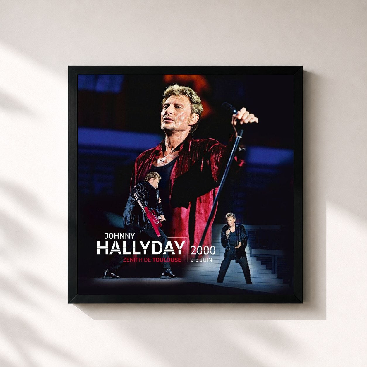 Johnny Hallyday · Live Toulouse 2000 (Live au Zénith de Toulouse / 2 et 3 juin 2000)