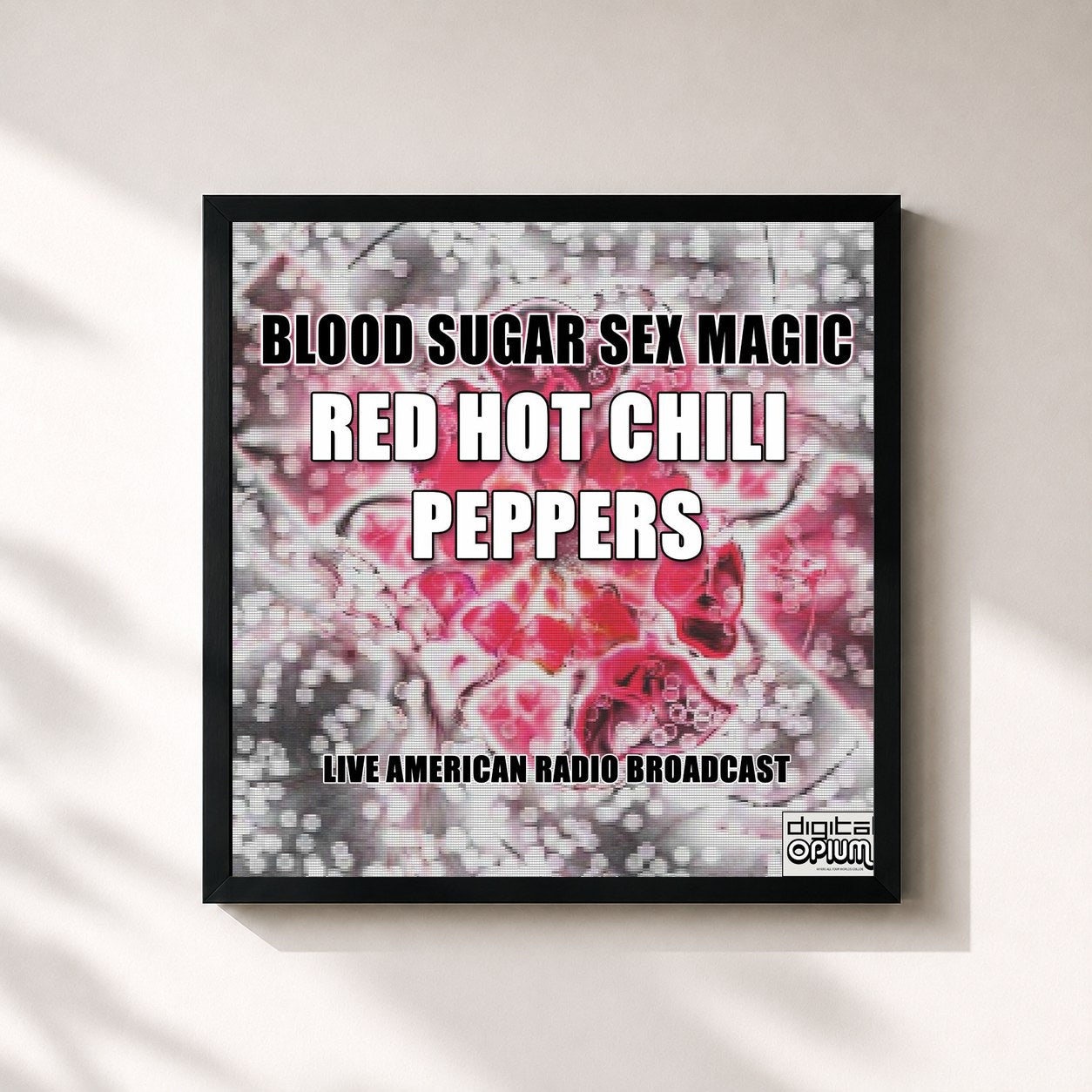 Red Hot Chili Peppers · Blood Sugar Sex Magic (Live)