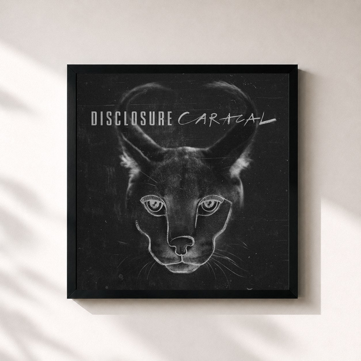 Disclosure · Caracal (Deluxe)