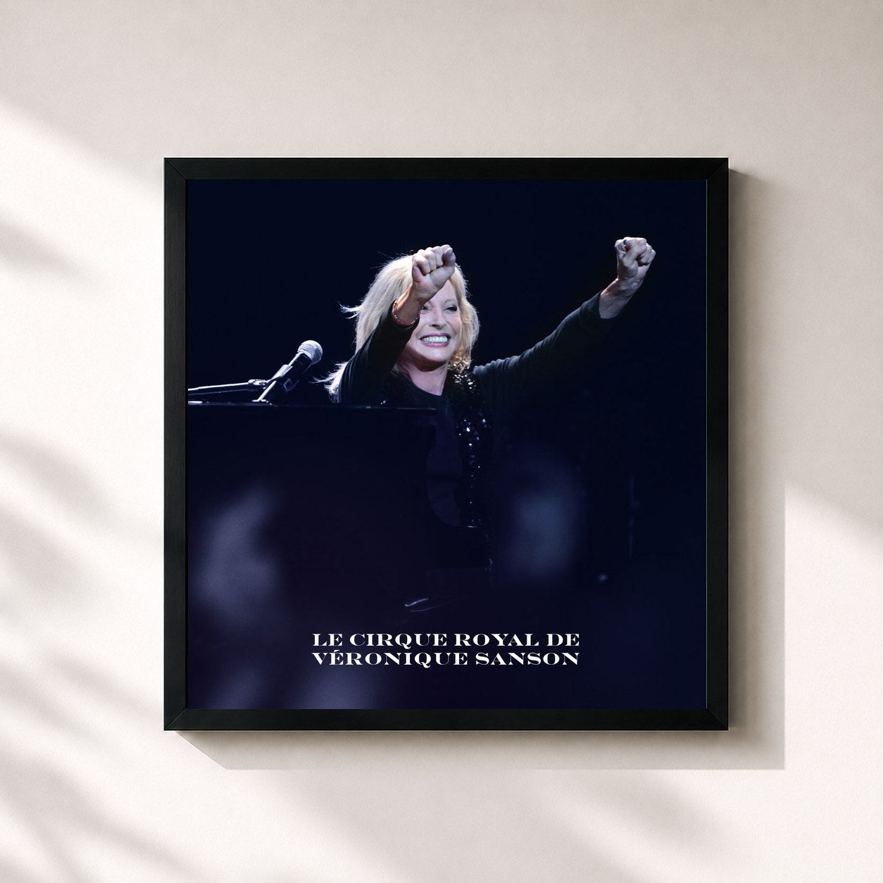 Véronique Sanson – Live au Cirque Royal, 2011