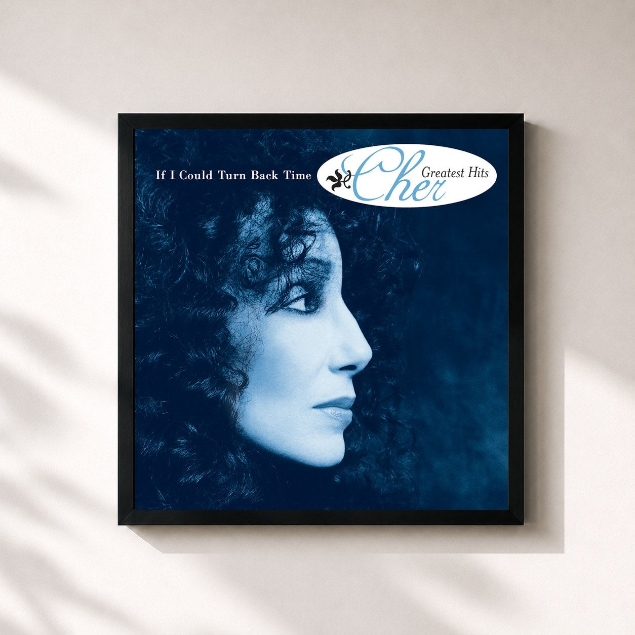 Cher · If I Could Turn Back Time: Cher's Greatest Hits
