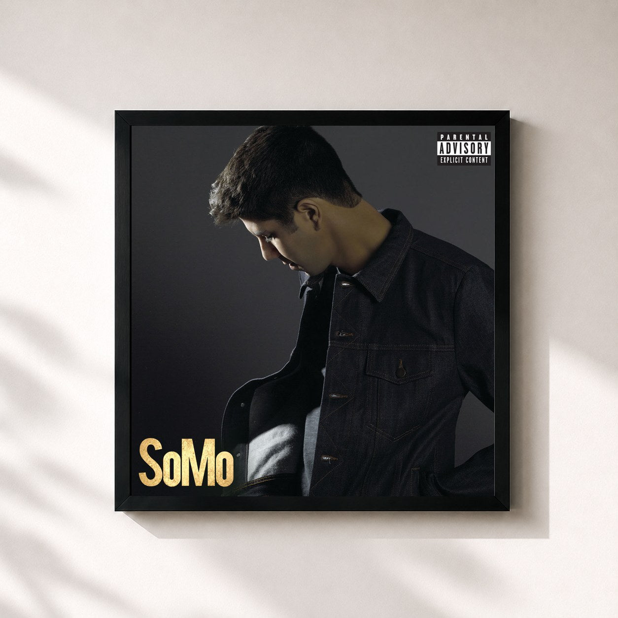 SoMo · SoMo
