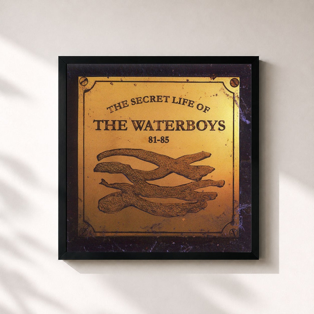 The Waterboys – The Secret Life of The Waterboys (1981-1985)
