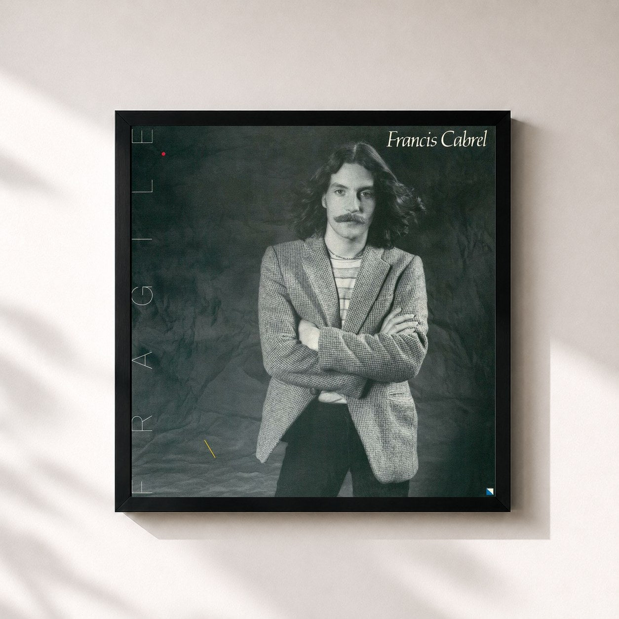 Tableau de l'album Fragile (Remastered) de Francis Cabrel, imprimé et encadré en France