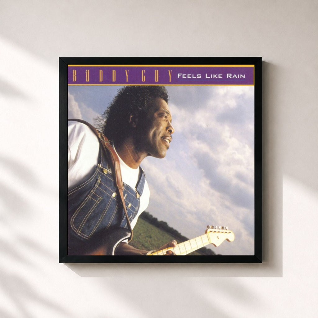 Buddy Guy · Feels Like Rain