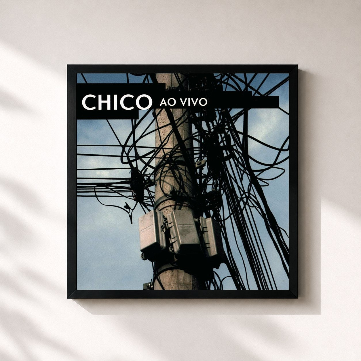 Chico Buarque · Ao Vivo