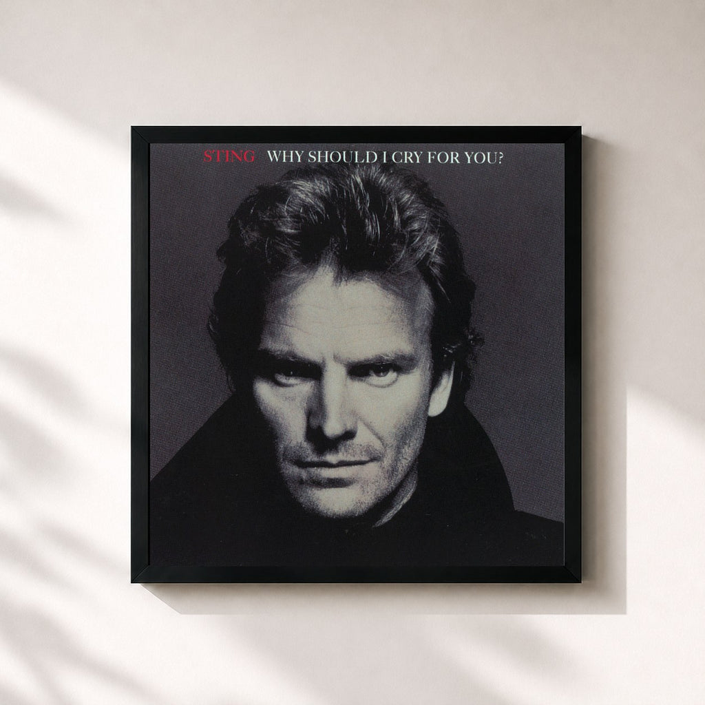 Sting · Why Should I Cry For You?