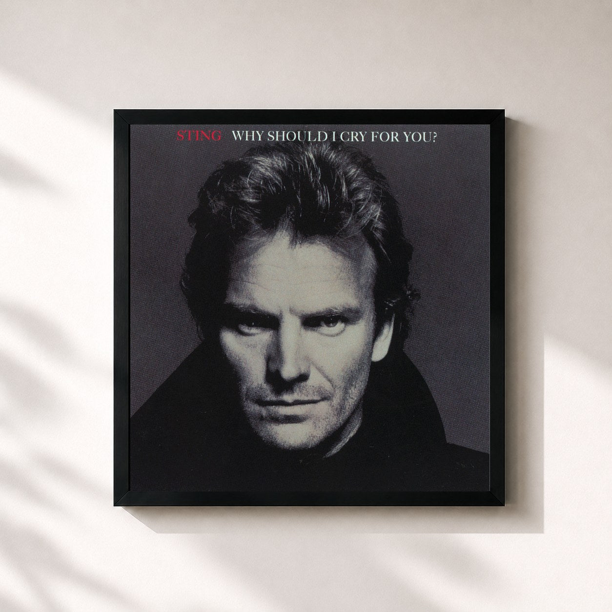 Sting · Why Should I Cry For You?