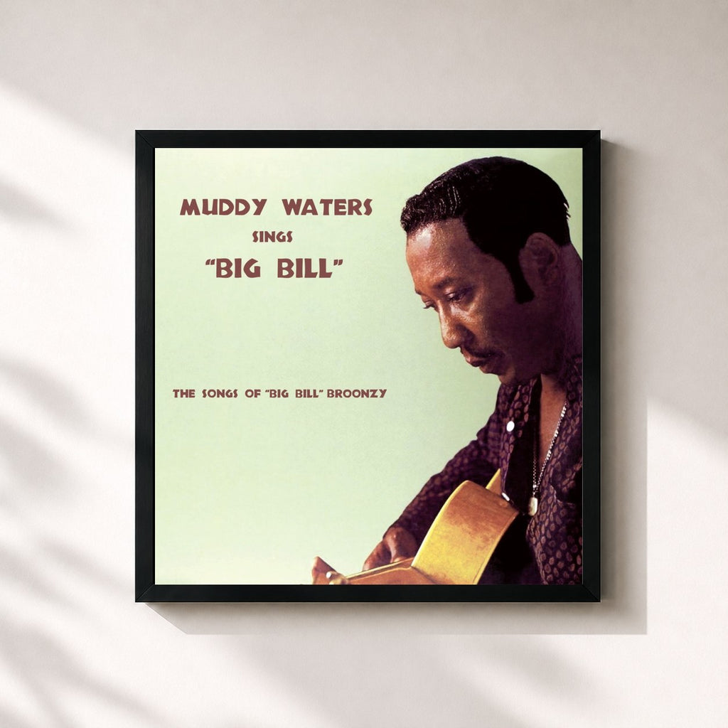 Muddy Waters · Muddy Waters Sings Big Bill