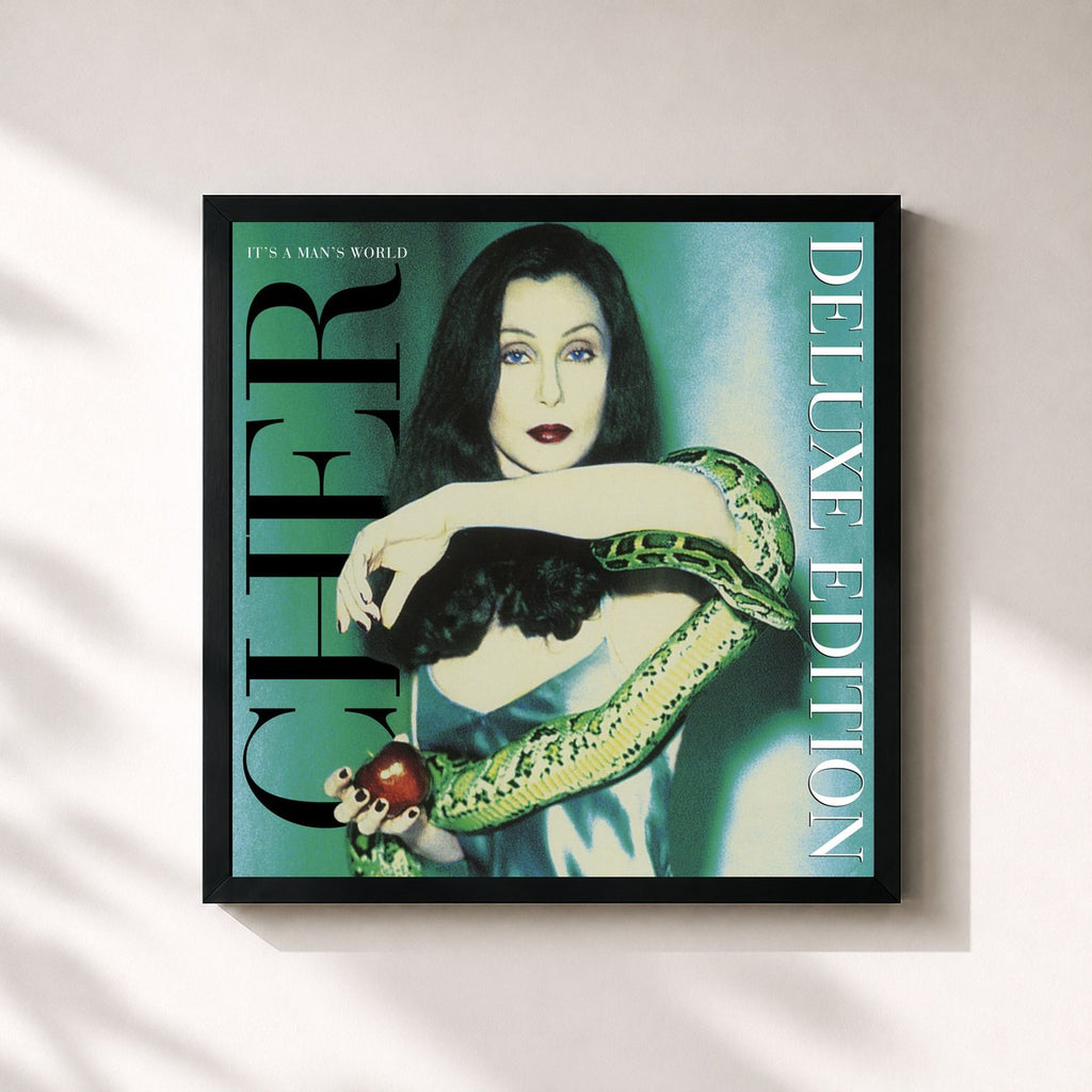 Cher · It's a Man's World (Deluxe Edition)
