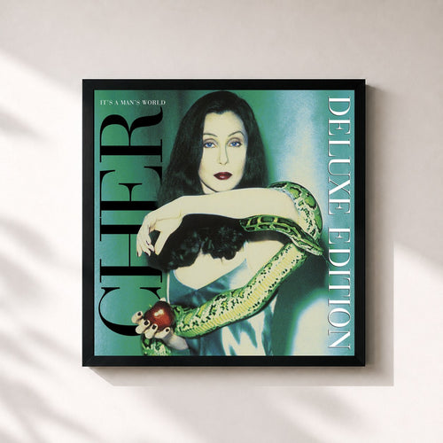 Cher · It's a Man's World (Deluxe Edition)