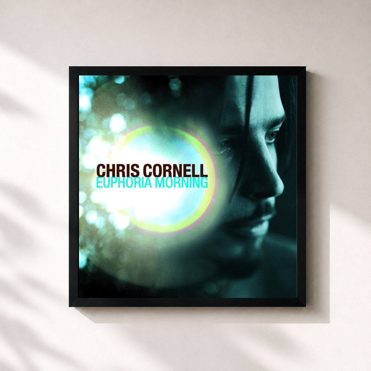 Chris Cornell · Euphoria Morning