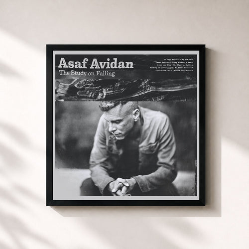 Asaf Avidan · The Study On Falling — Stampa incorniciata