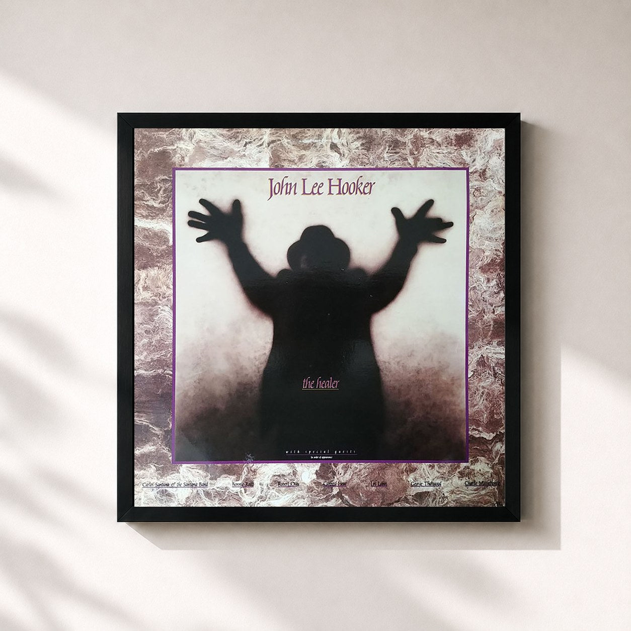 John Lee Hooker · The Healer