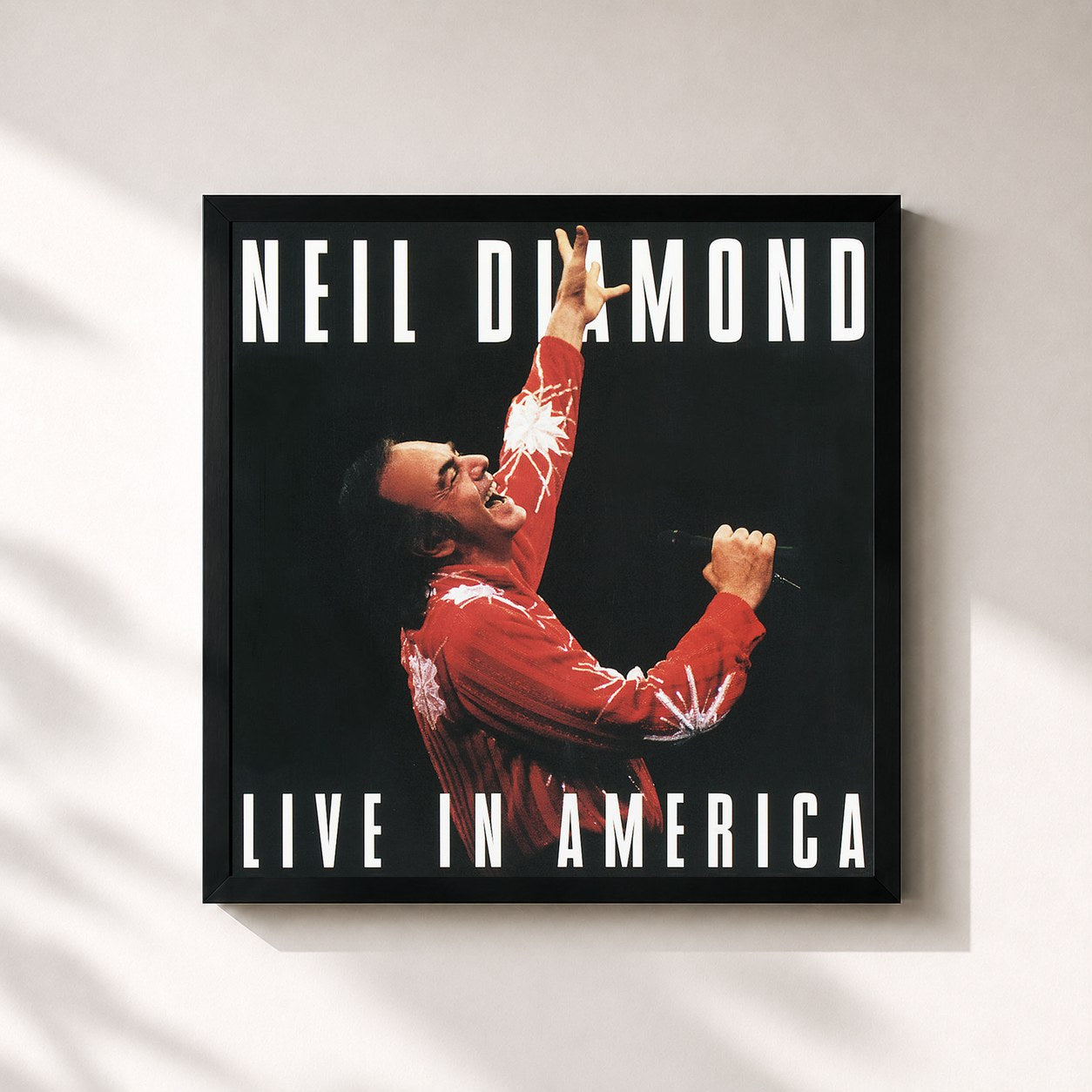 Neil Diamond · Live In America