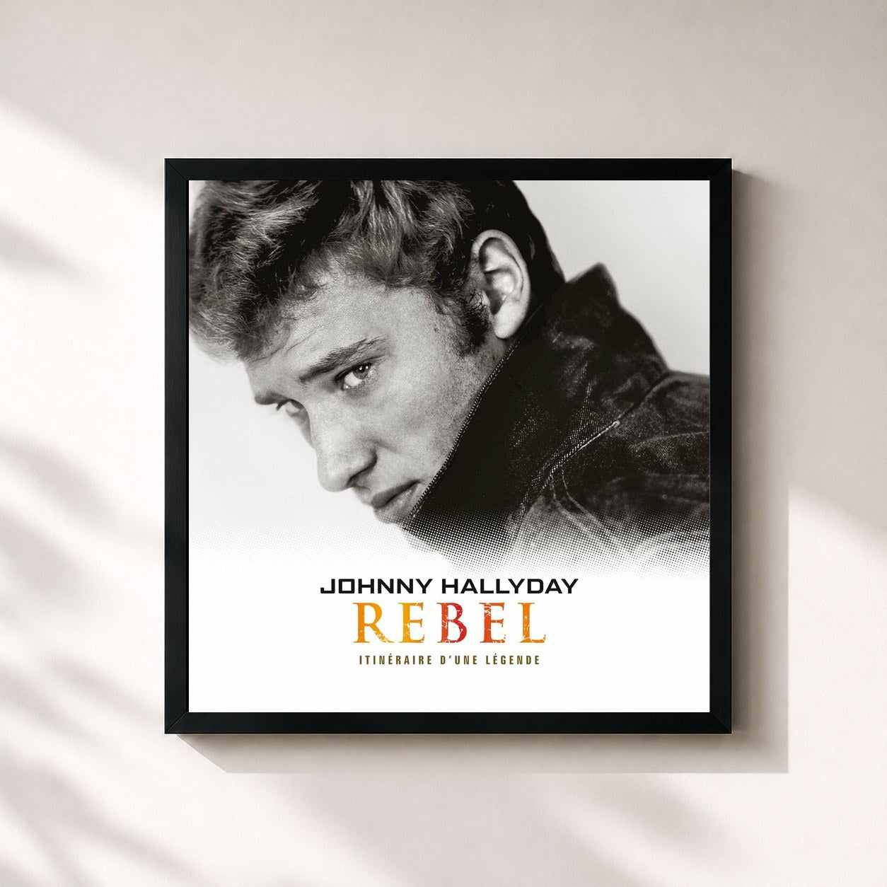 Johnny Hallyday · Rebel