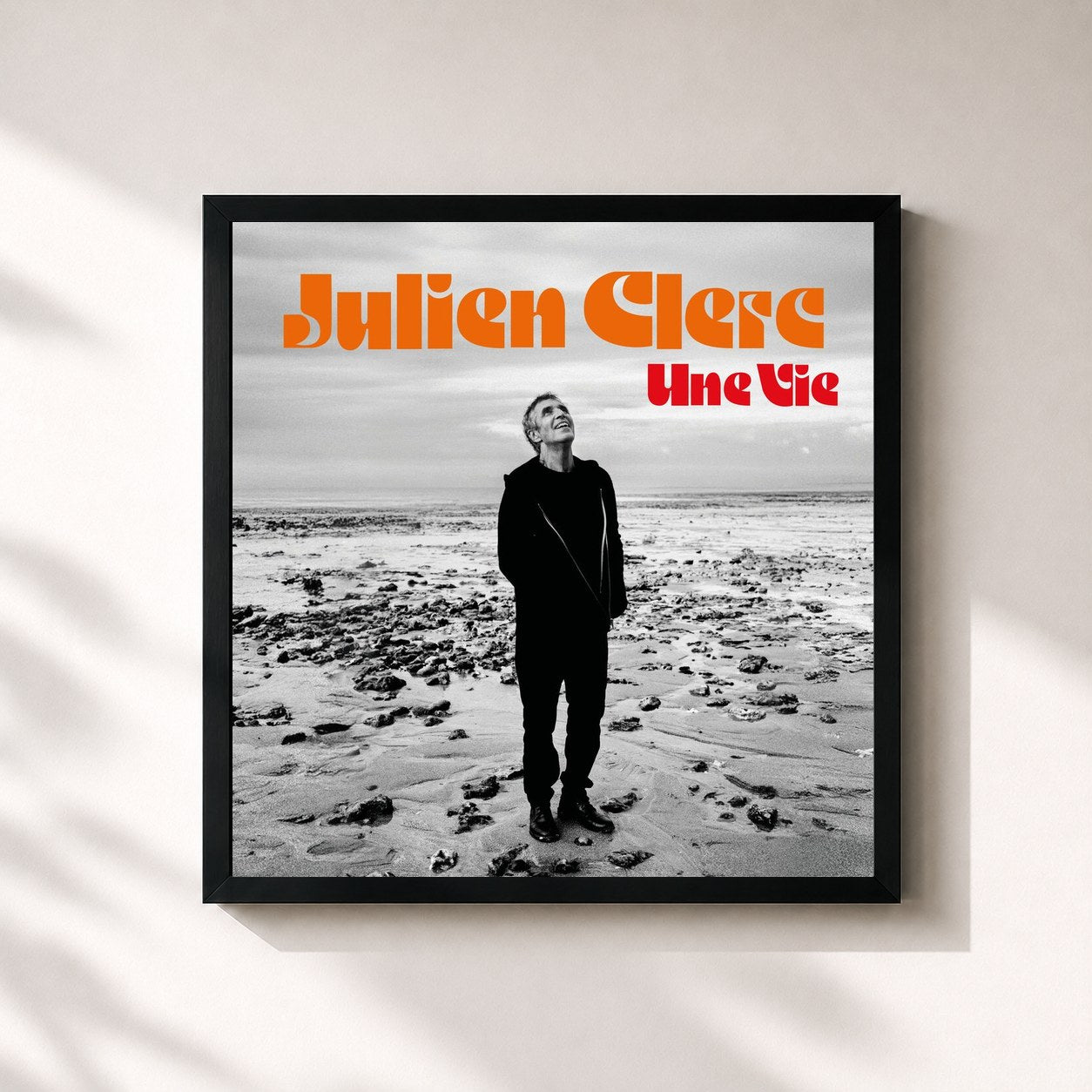 Julien Clerc · Une vie