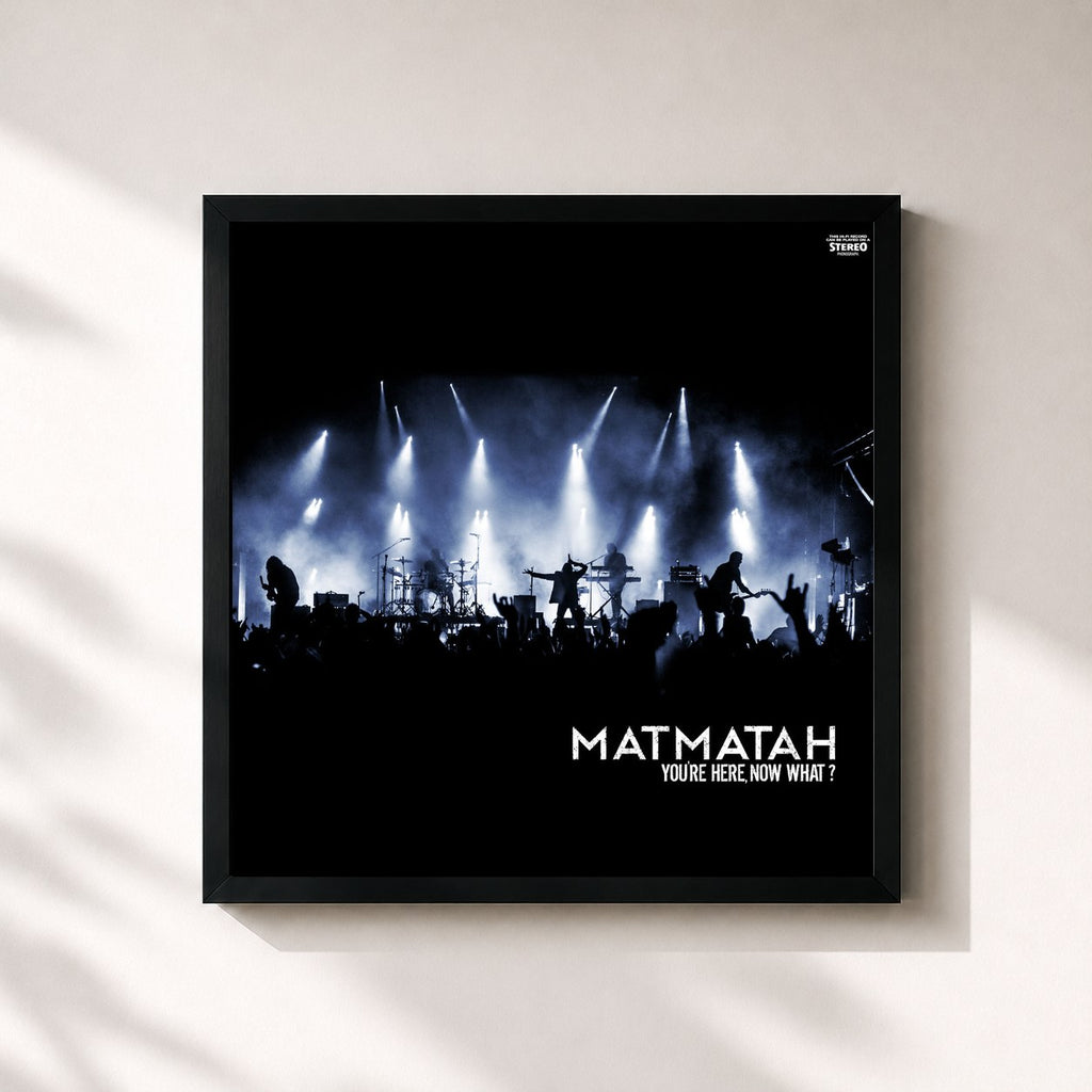 Matmatah · You're Here, Now What ? (Live au Zénith de Nantes, 2017)