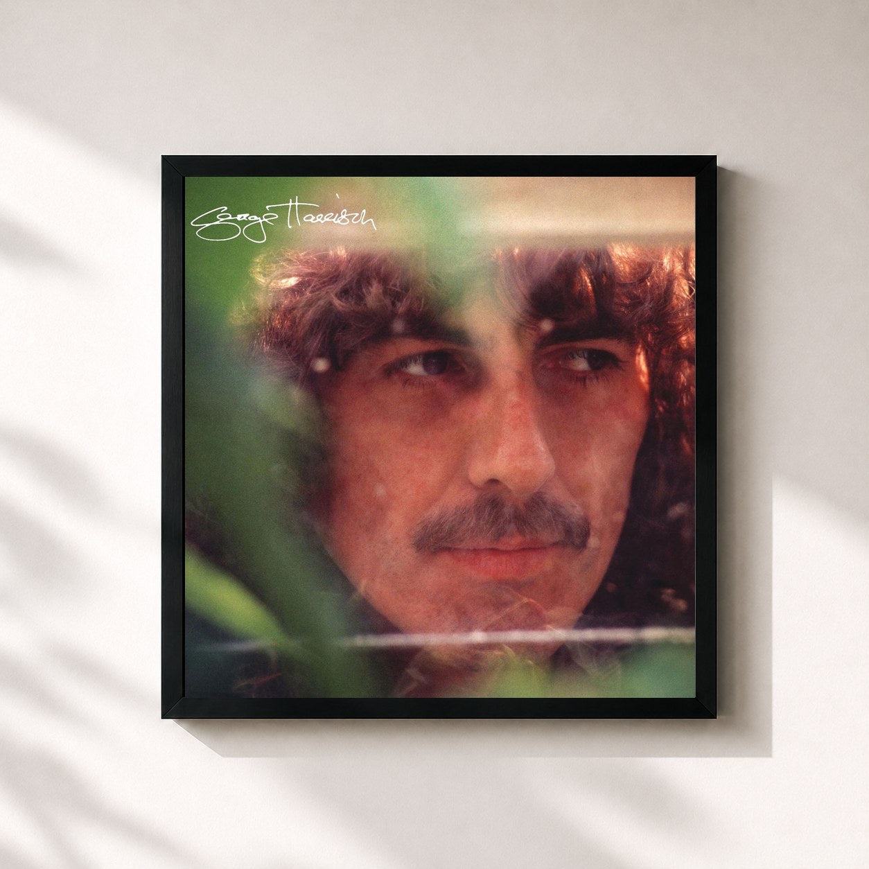 George Harrison · George Harrison
