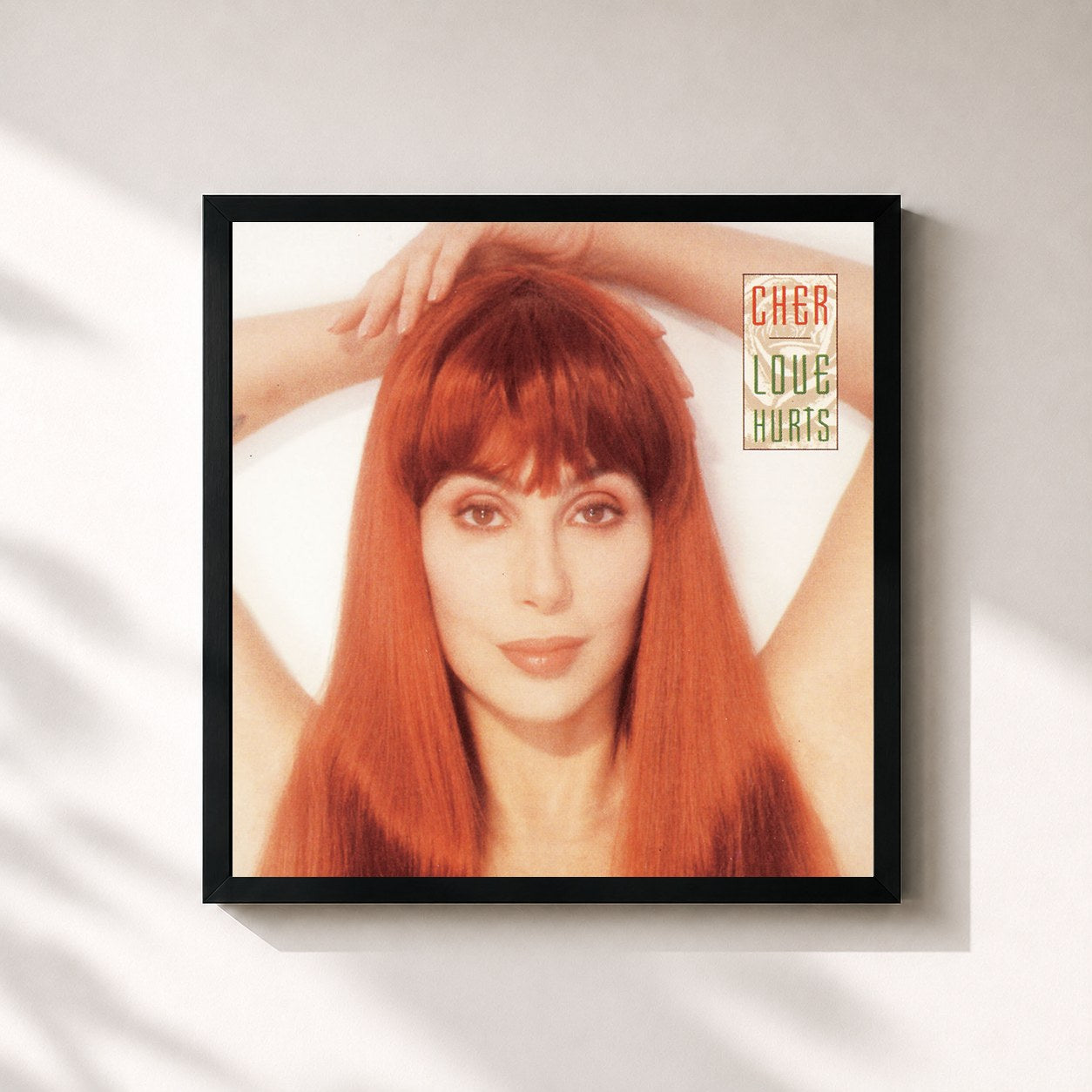 Cher · Love Hurts