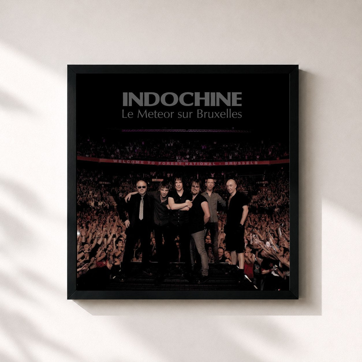Tableau de l'album Le Meteor sur Bruxelles (Live) de Indochine, imprimé et encadré en France