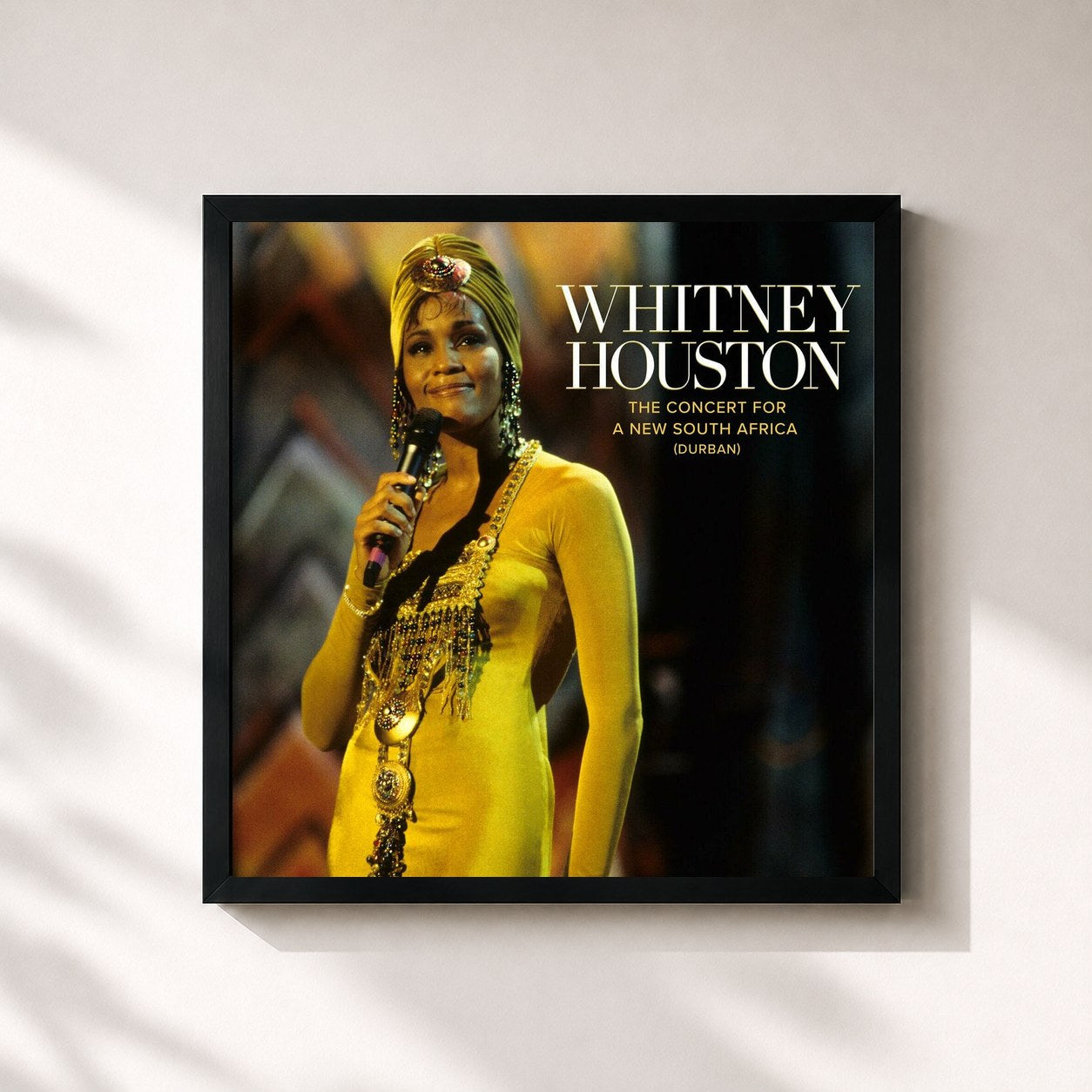 Whitney Houston · The Concert for a New South Africa (Durban) (Live)