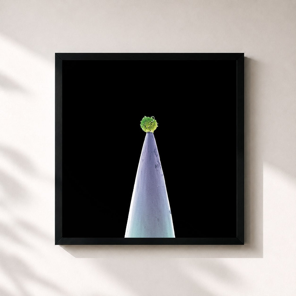 Peter Gabriel · New Blood