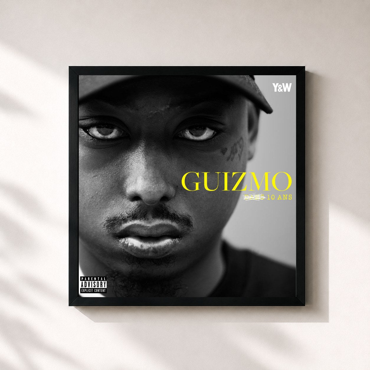 Guizmo · 10 ANS