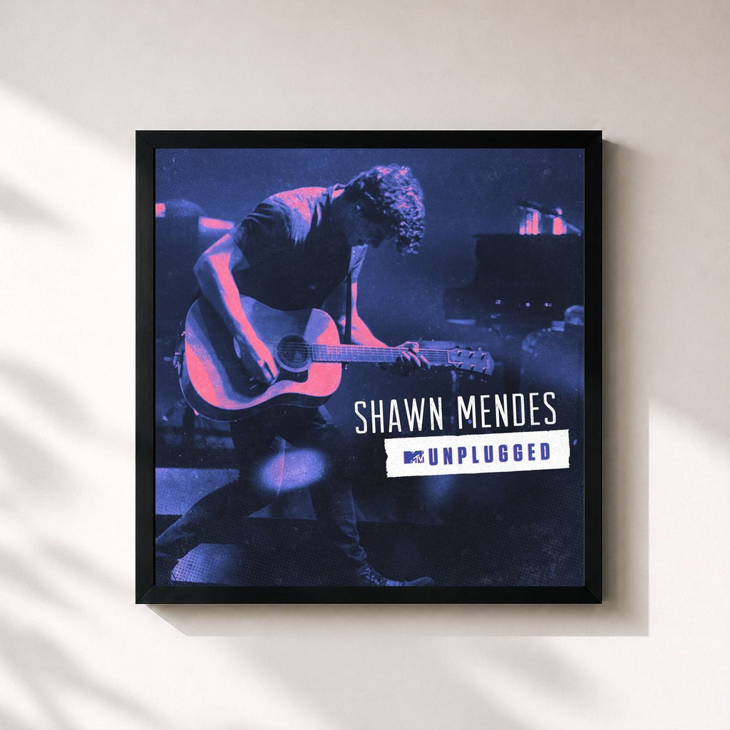 Shawn Mendes · MTV Unplugged (MTV Unplugged)
