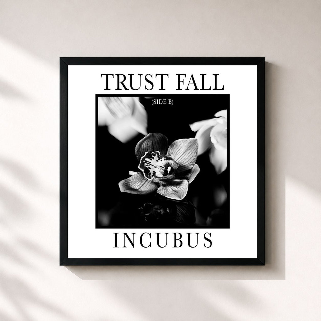 Incubus · Trust Fall (Side B)