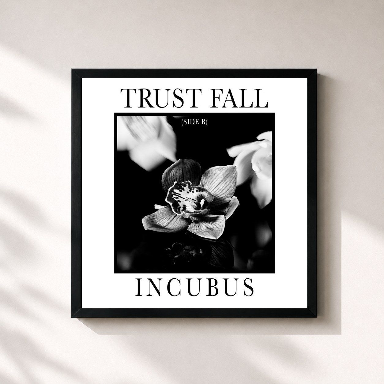 Incubus · Trust Fall (Side B)