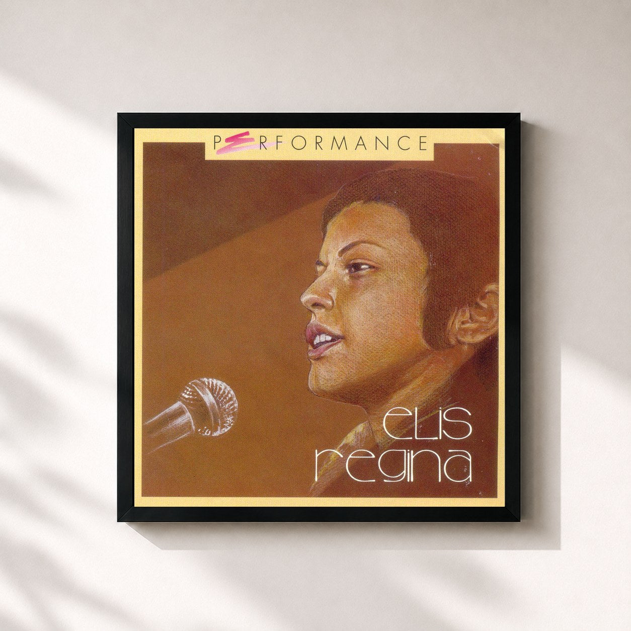 Elis Regina · Performance